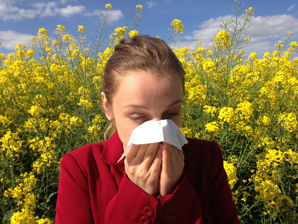 Диагностика аллергии
